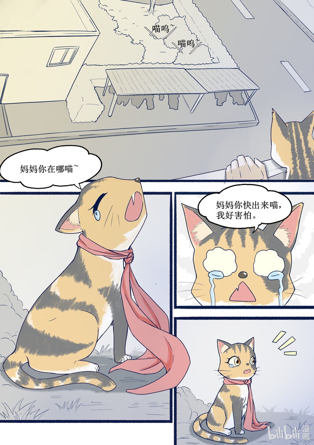 1 捉到猫了