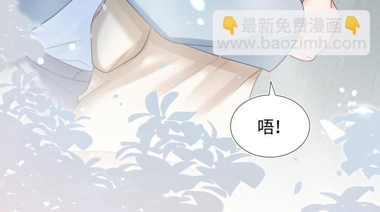 新作上线，绝美白莲开课啦