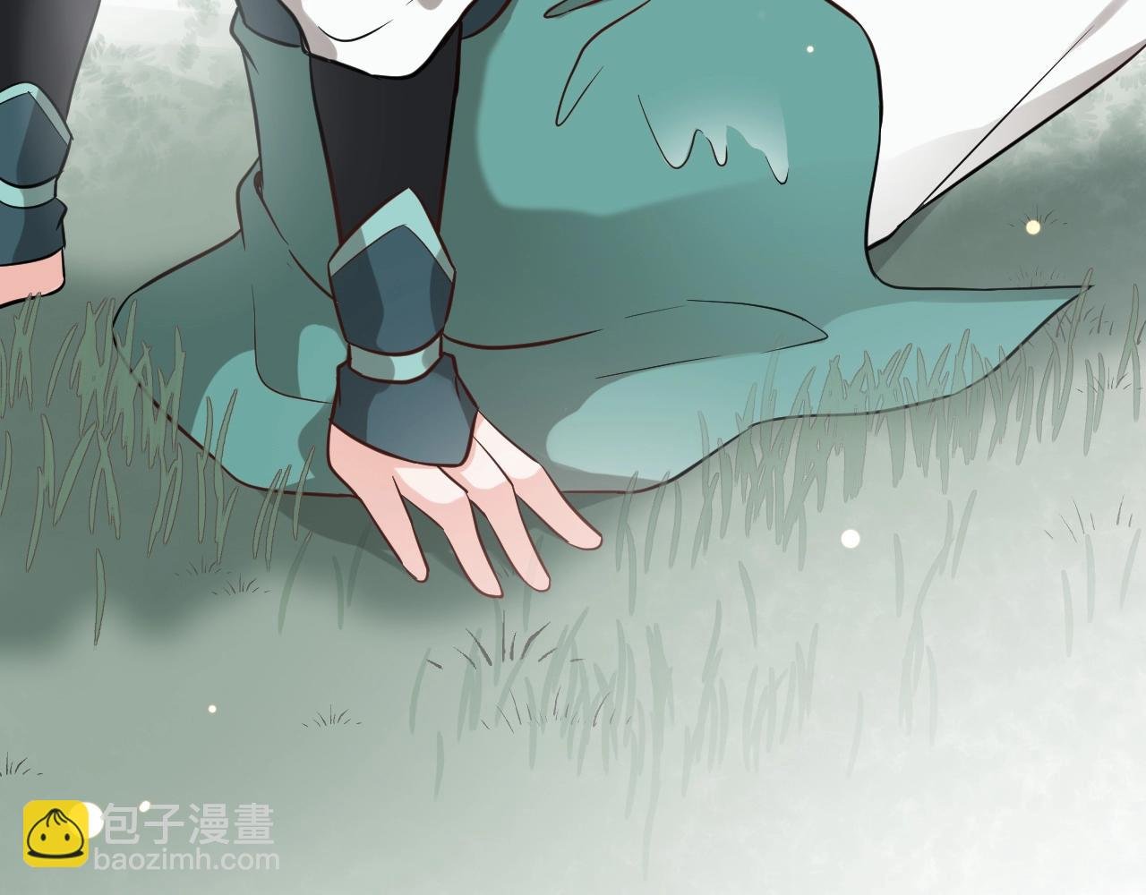 第14话 捡到一只毛球球