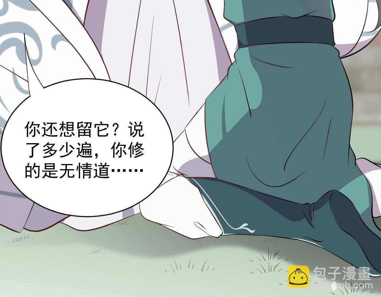 第14话 捡到一只毛球球
