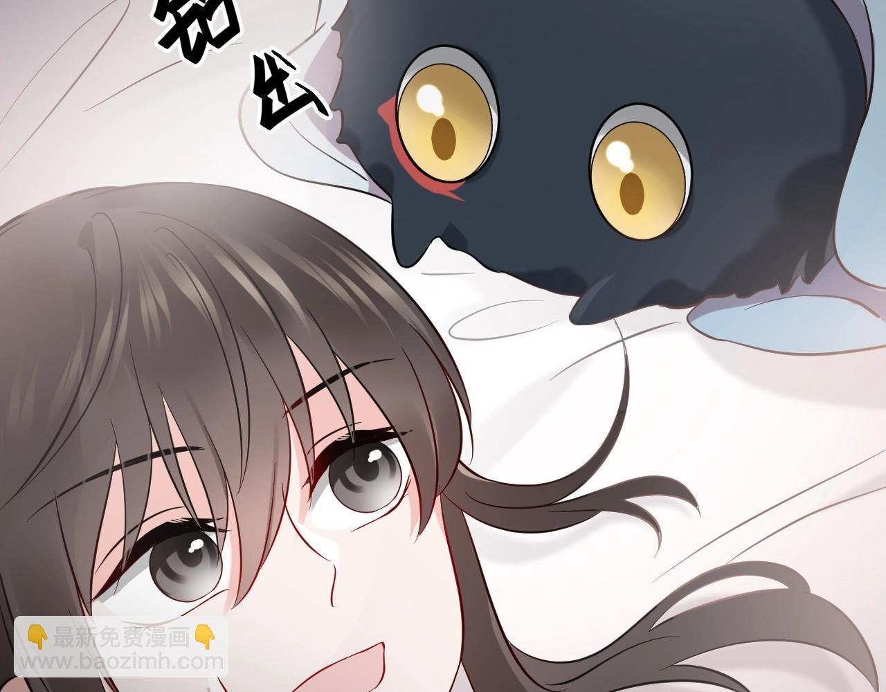 第14话 捡到一只毛球球