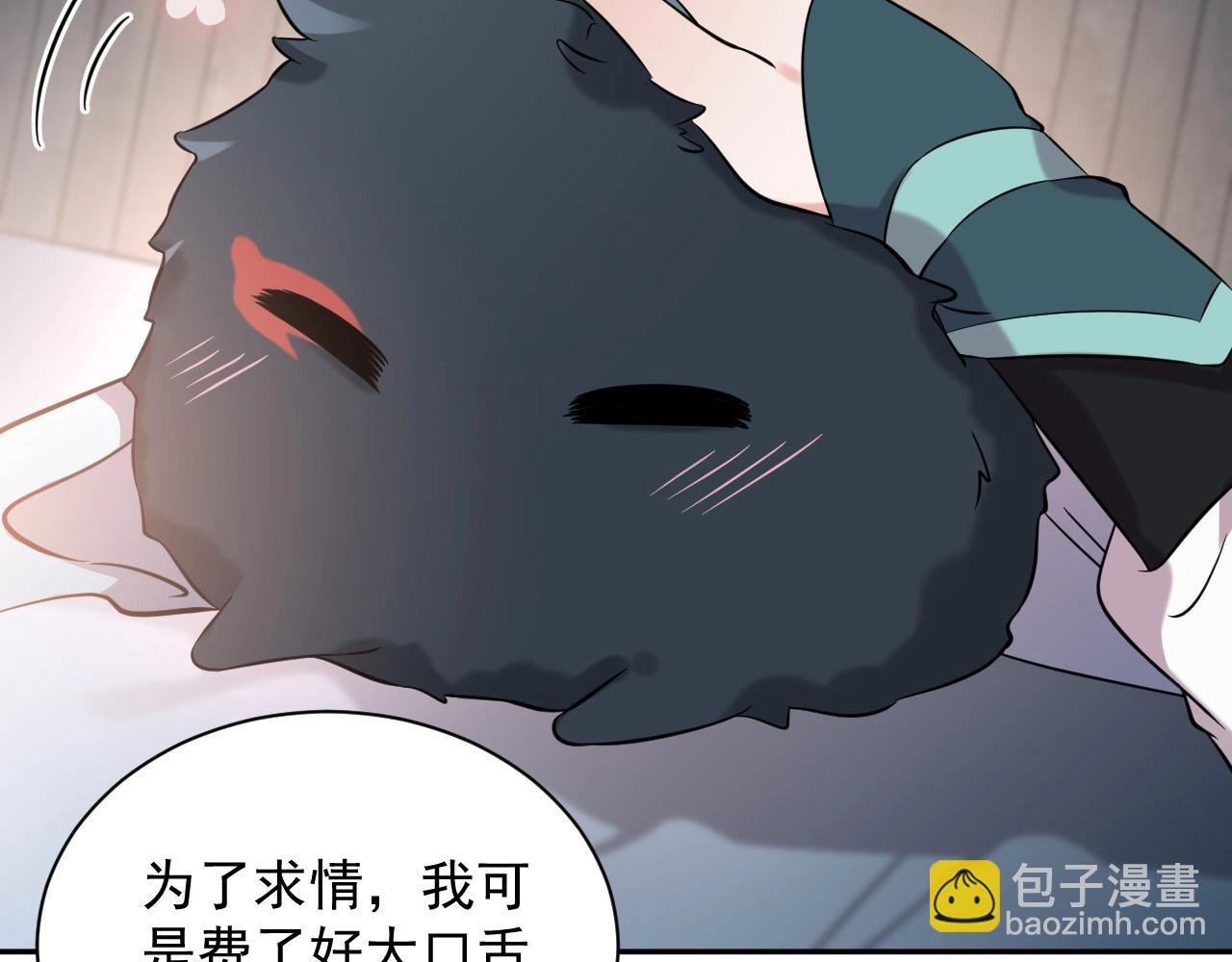 第14话 捡到一只毛球球
