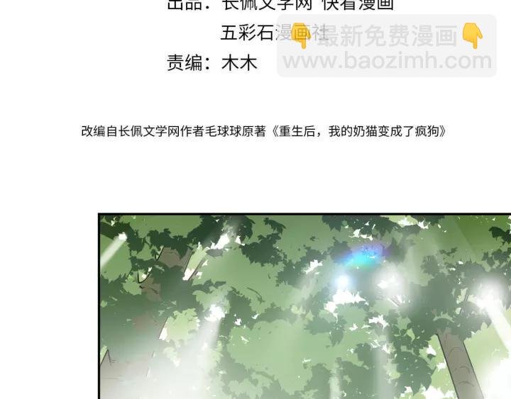 第48话 凤凰的逆天能力