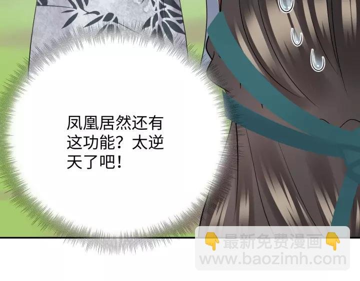 第48话 凤凰的逆天能力