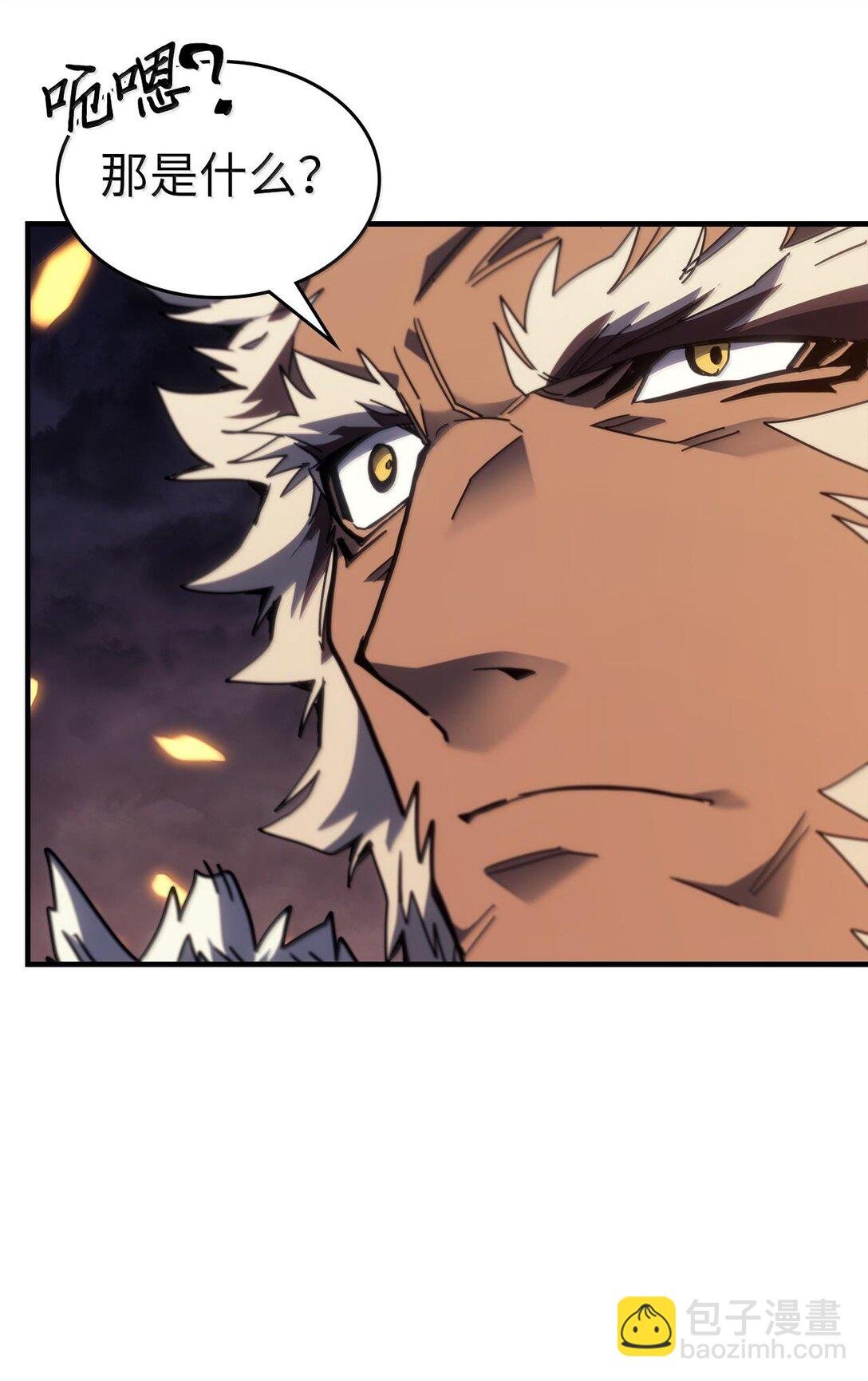 255 255