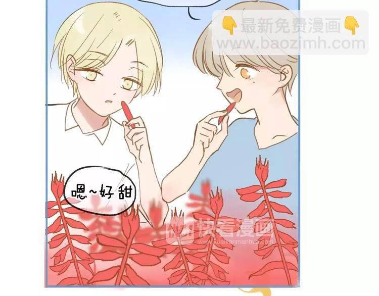 第113话 还想再遇到你