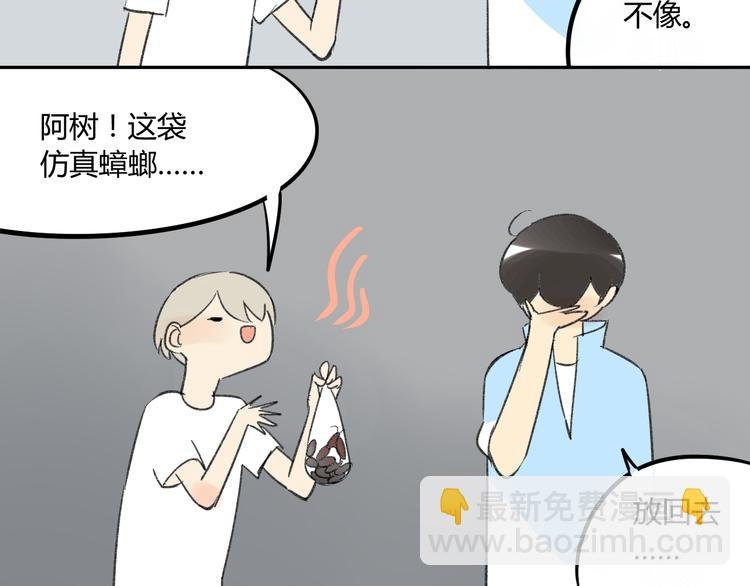 第74话 转变