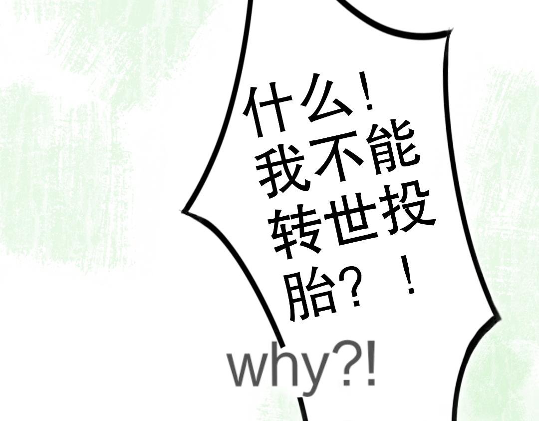 不可转世