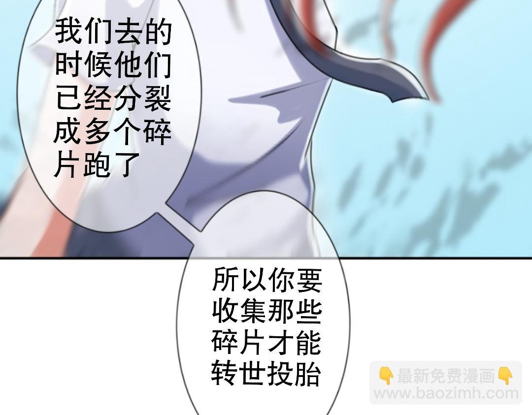 不可转世