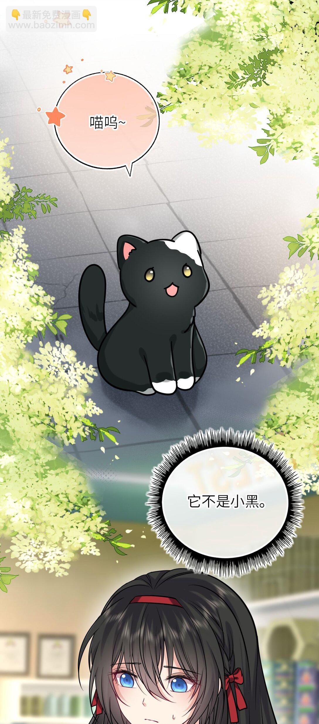 116 发现小黑