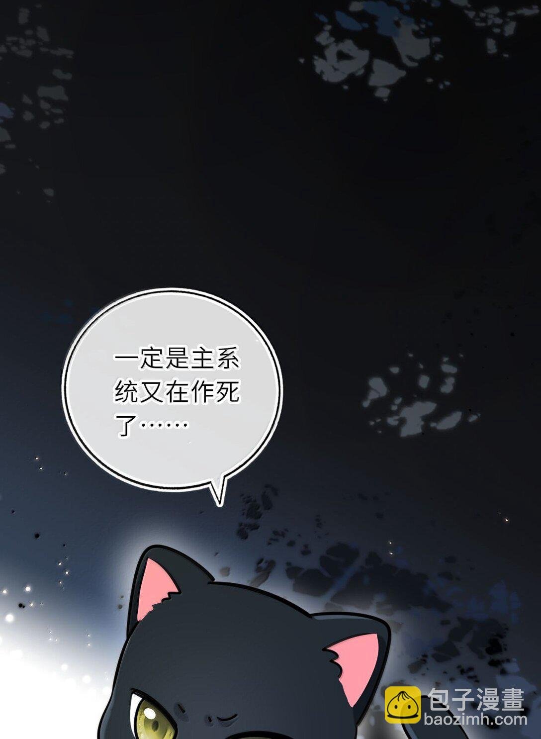 125 喵生这辈子值了