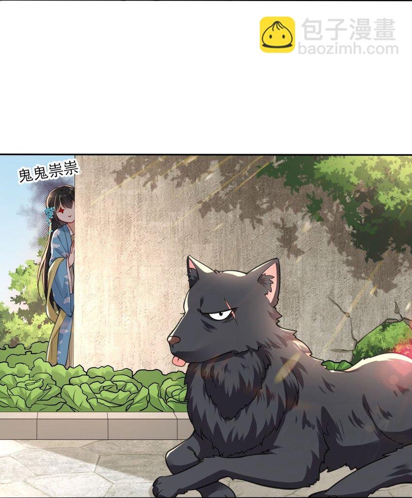 006 来吧！骂我吧！