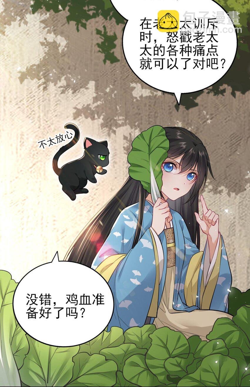 006 来吧！骂我吧！