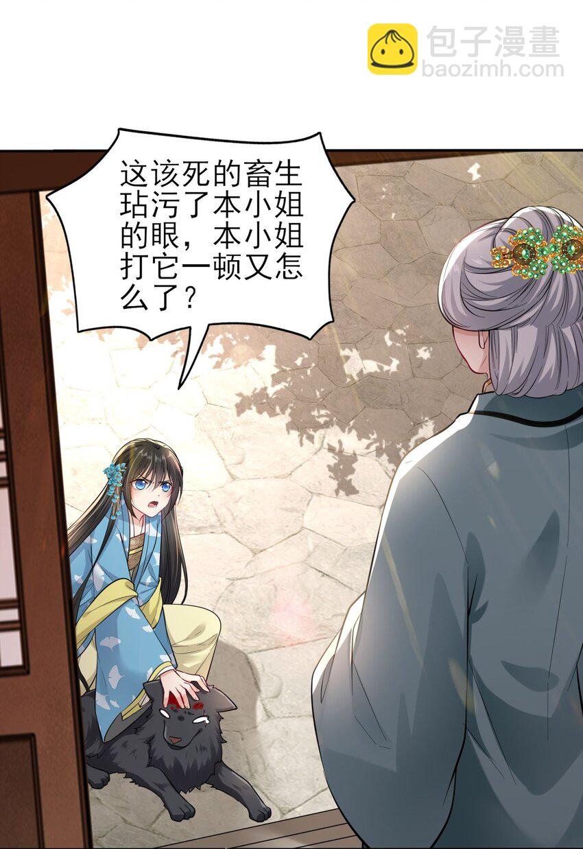 006 来吧！骂我吧！