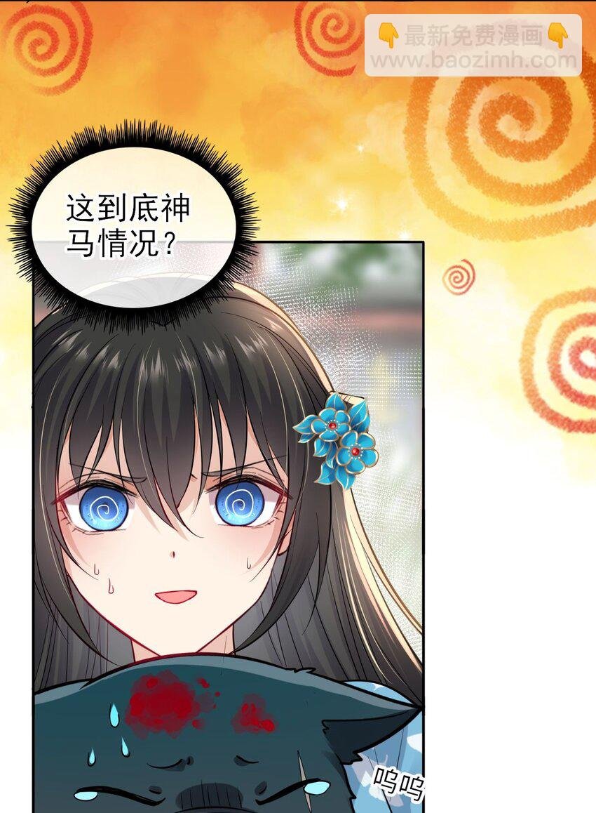 006 来吧！骂我吧！