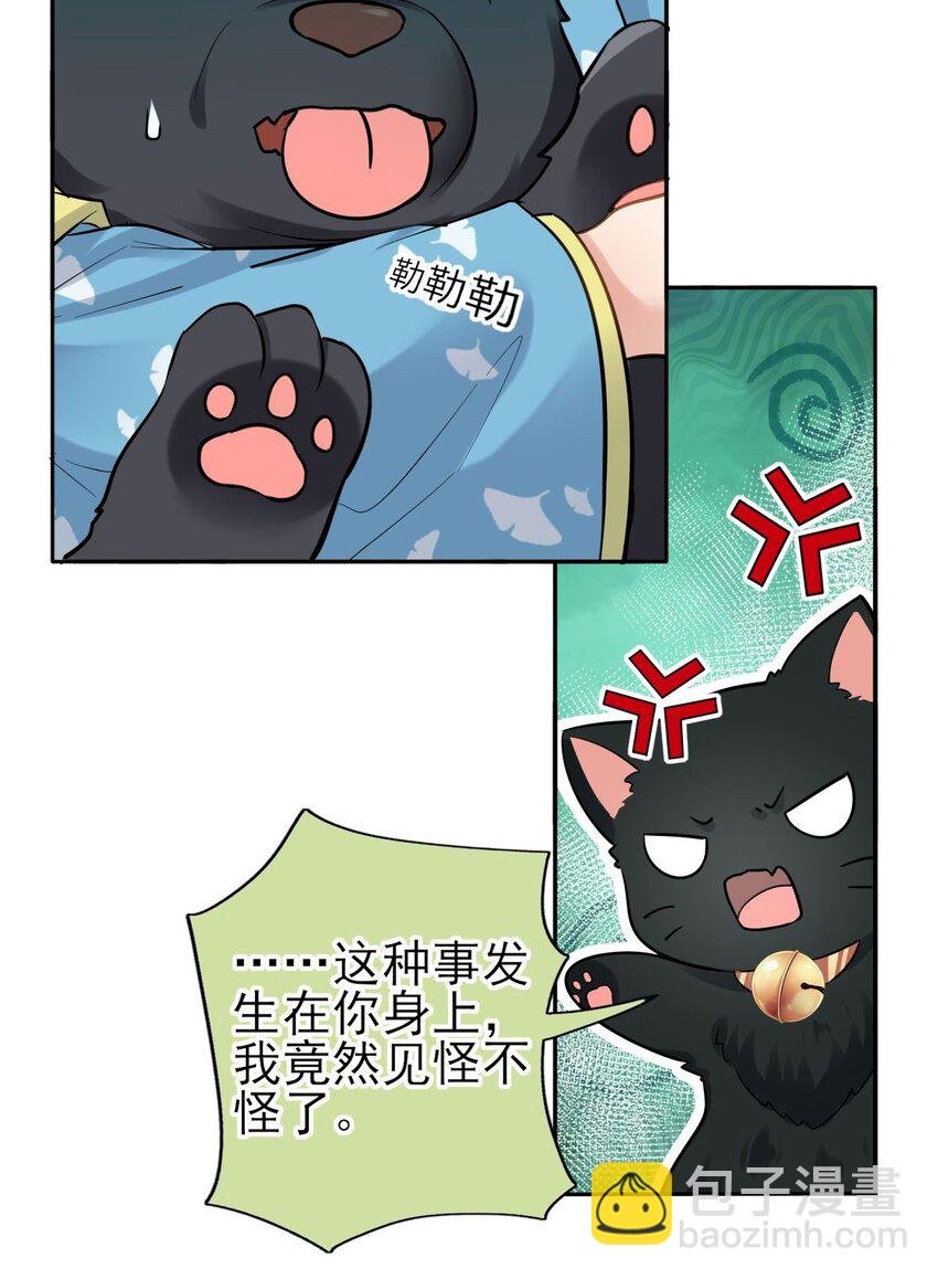 006 来吧！骂我吧！