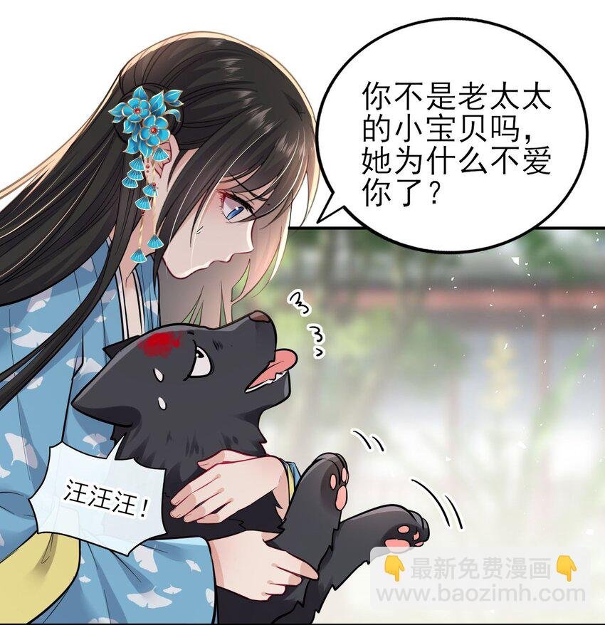 006 来吧！骂我吧！