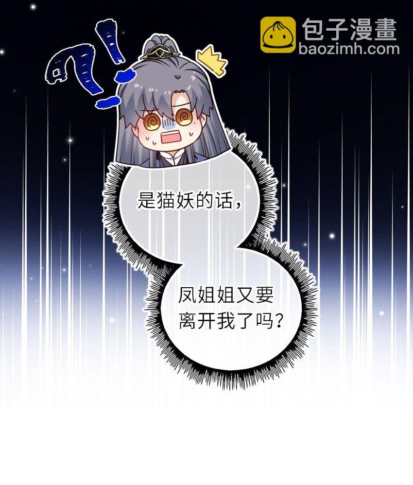 088 凤姐姐是猫妖吗