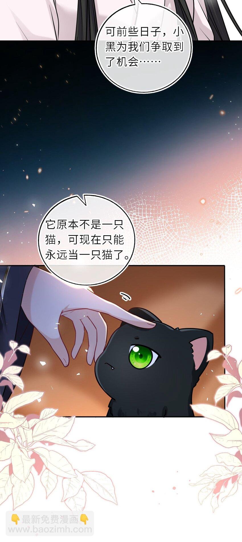 088 凤姐姐是猫妖吗