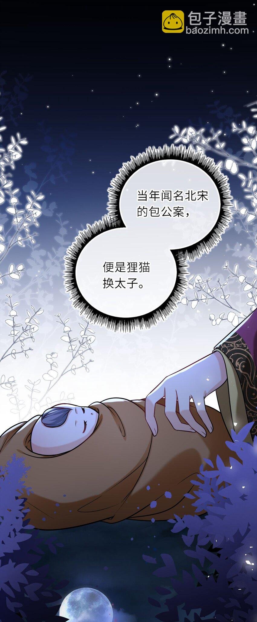 095 狸猫换太子