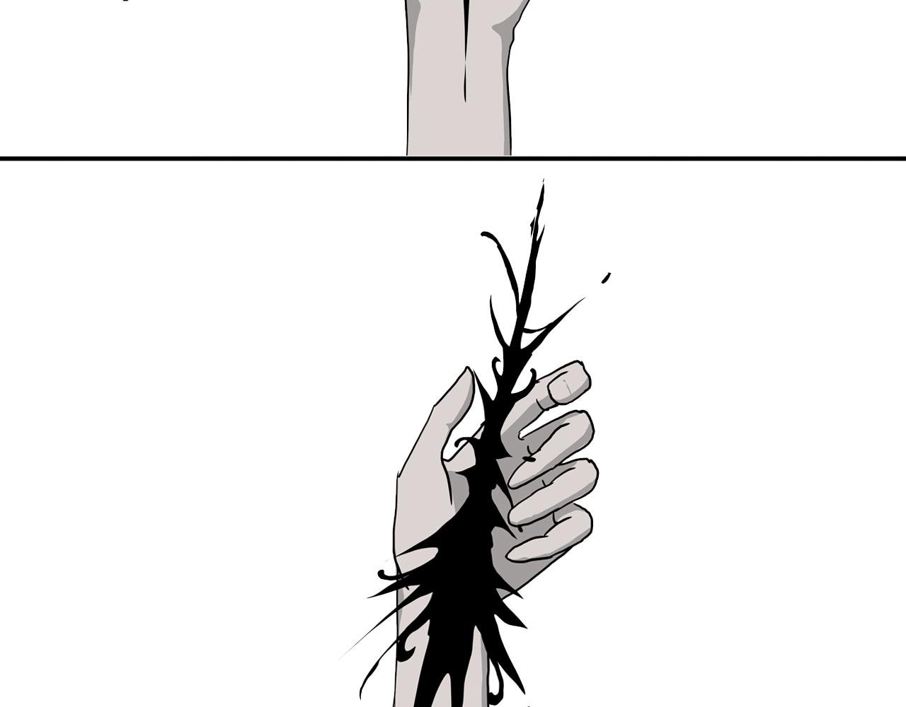1.茧