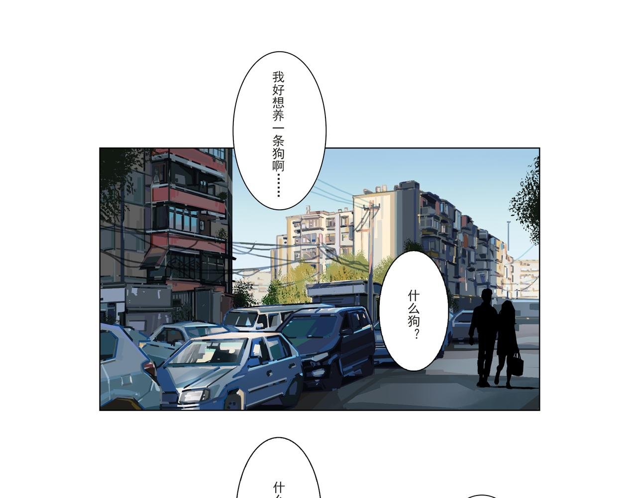 迷犬
