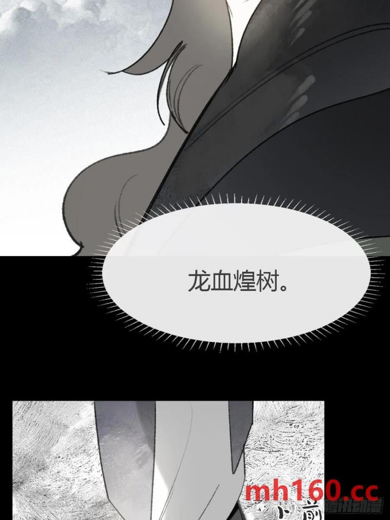 131-龙树的打算-
