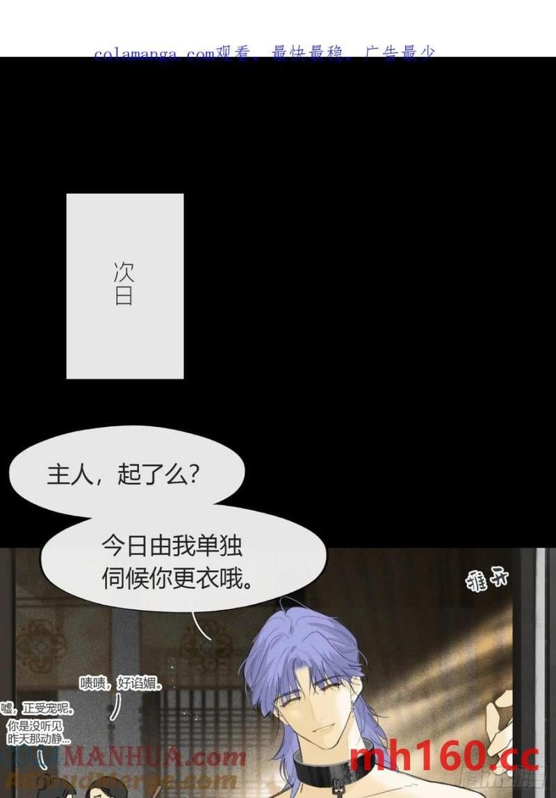 135-项圈的作用-