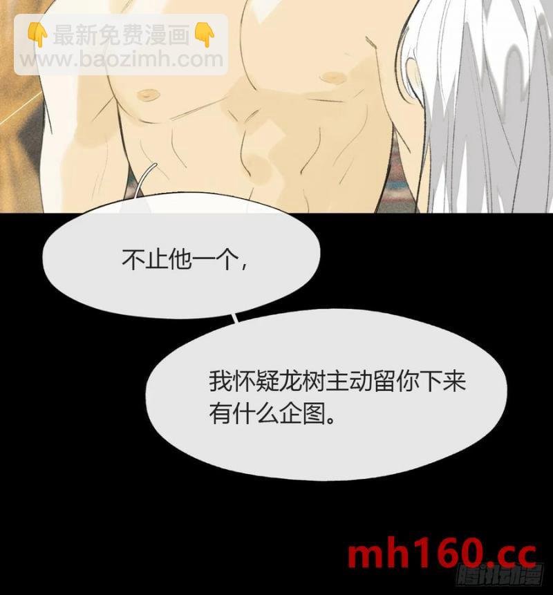135-项圈的作用-