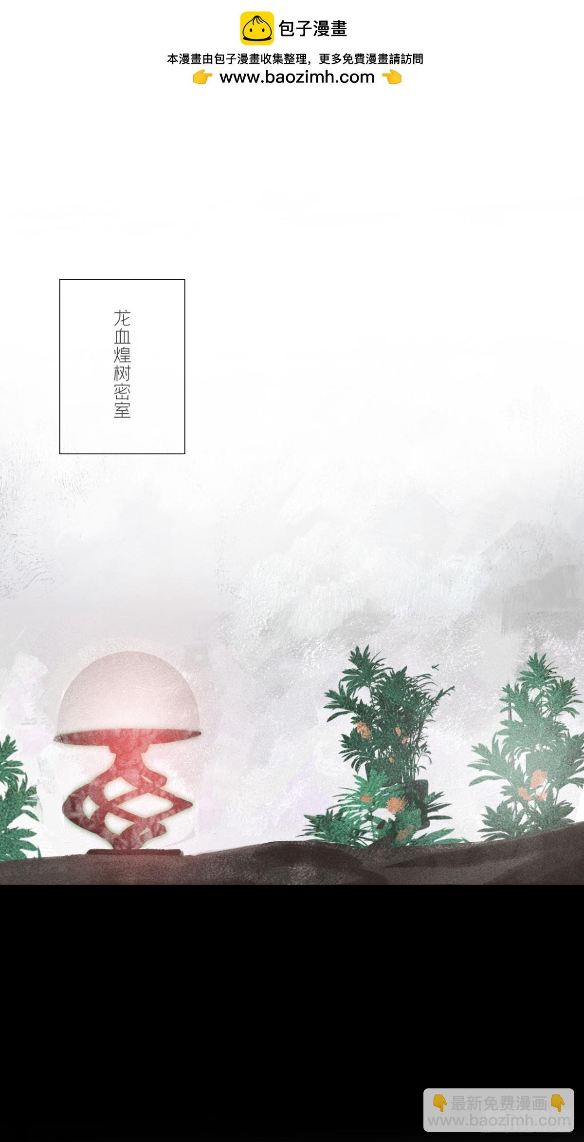 146龙树的秘密·上