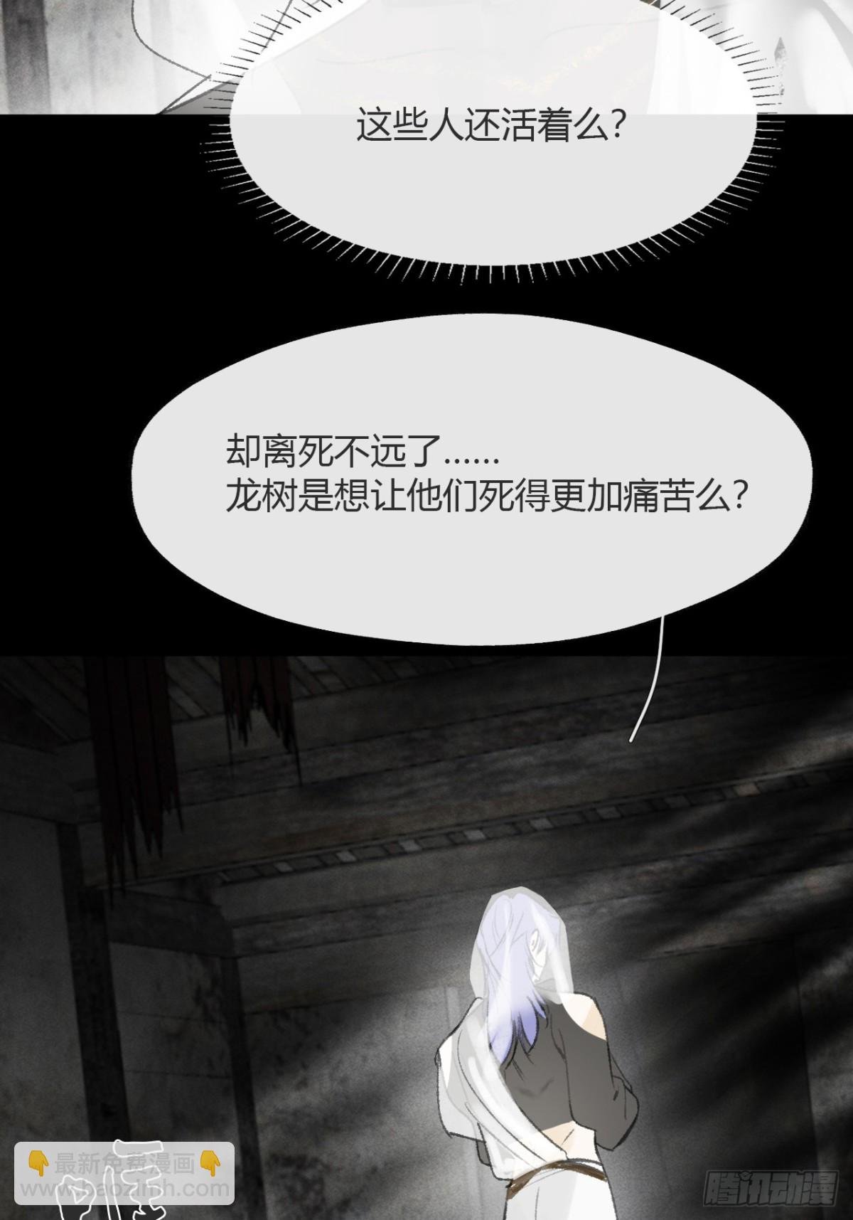 146龙树的秘密·上