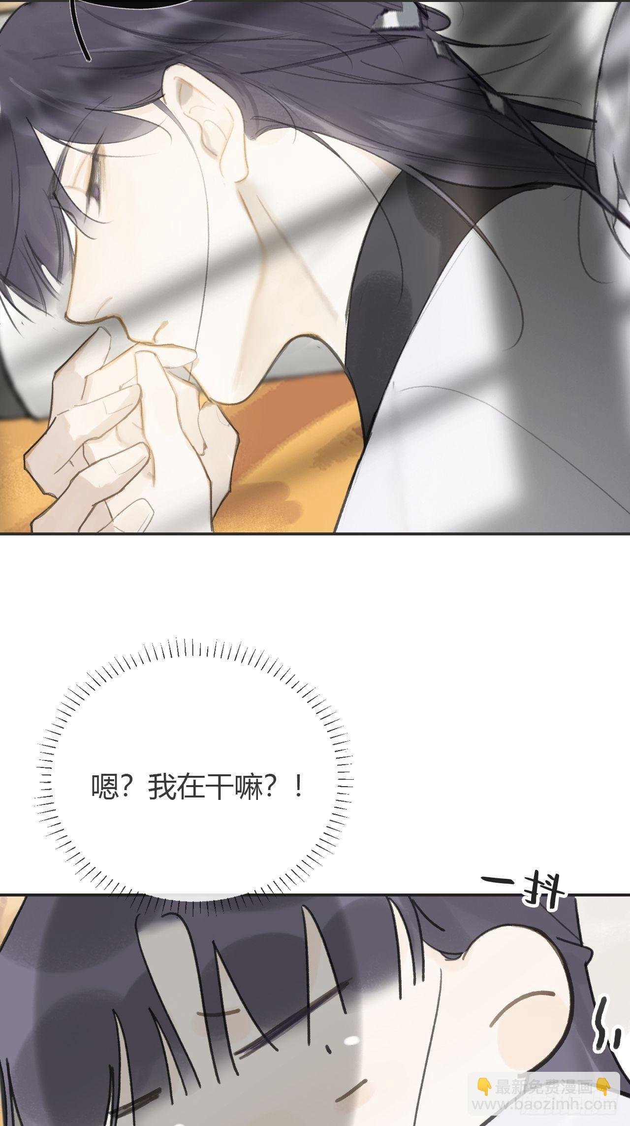 六十七-茕茕白兔-
