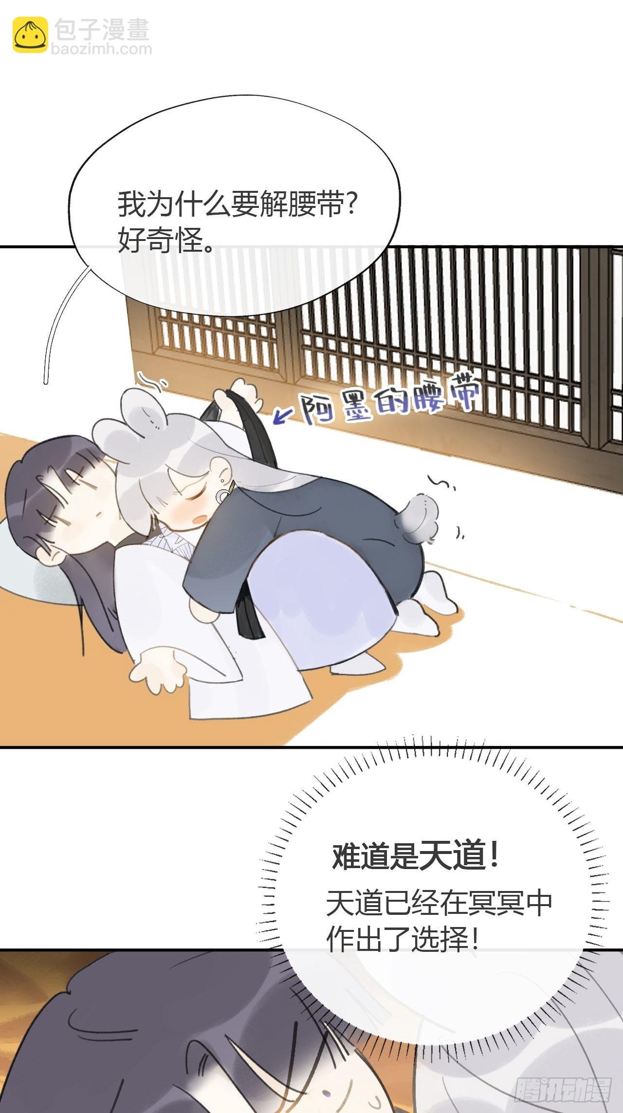 六十七-茕茕白兔-