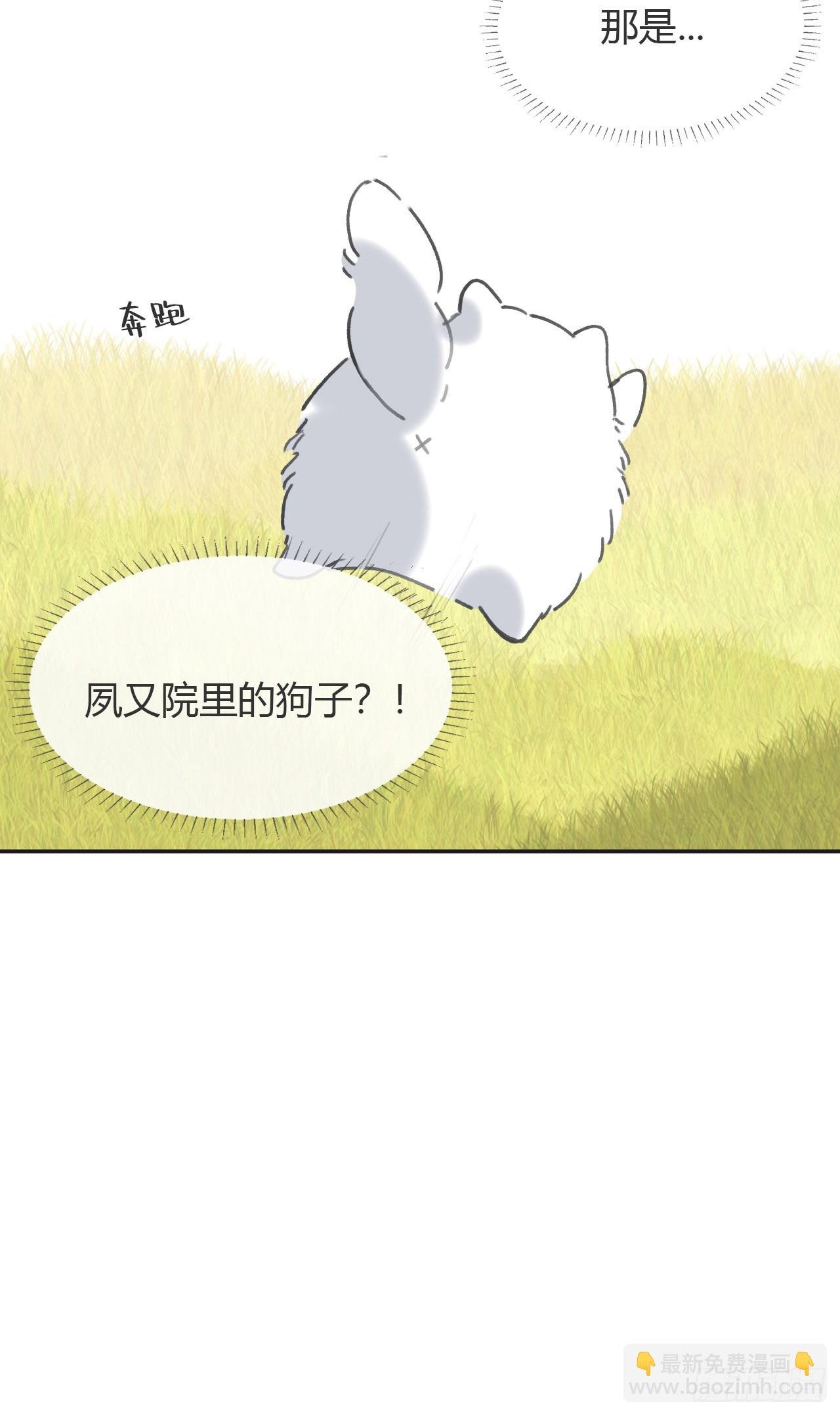 七十九-我的归处?-