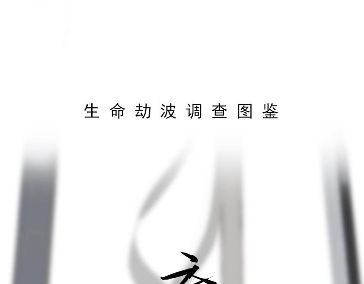 云火月华01