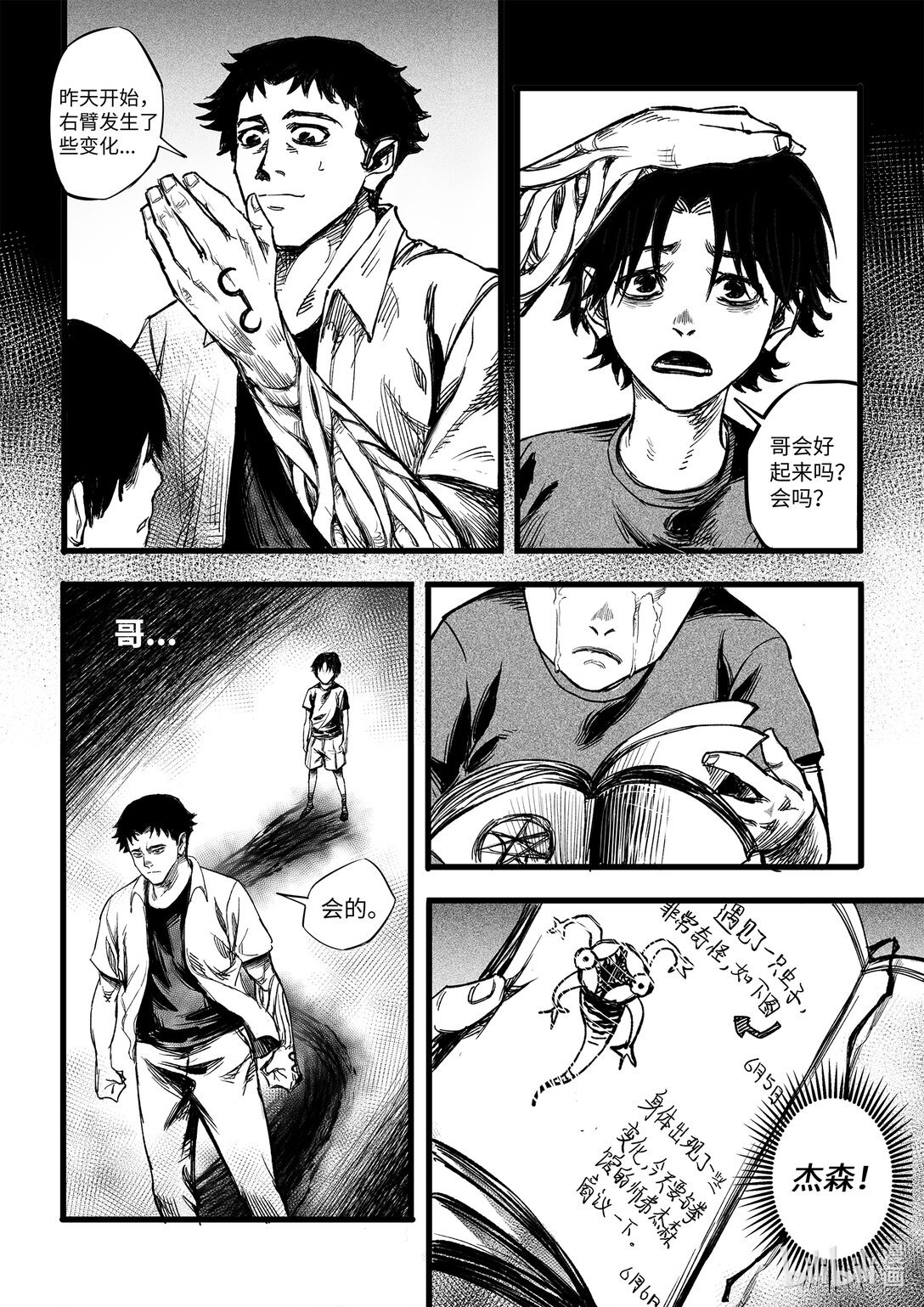 虫斗 虫斗