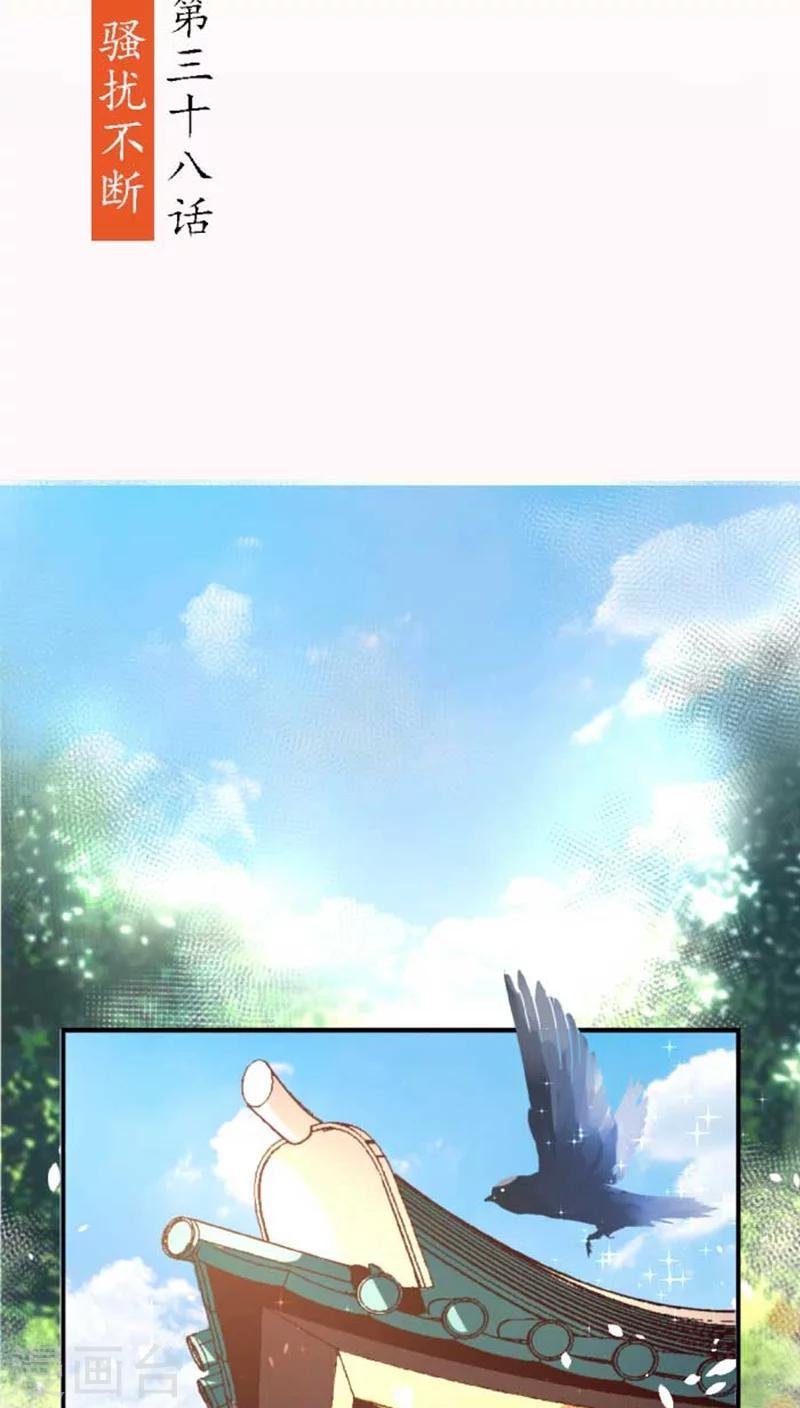 第38话 骚扰不断