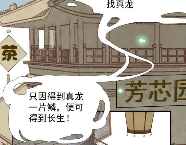 龙子