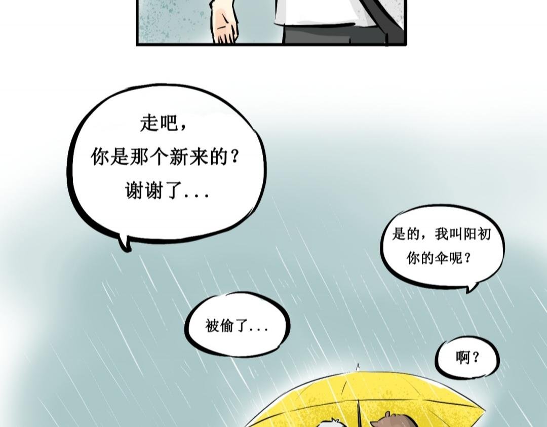 黄伞