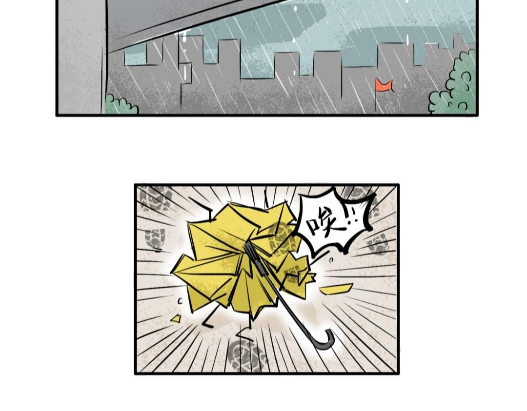 黄伞