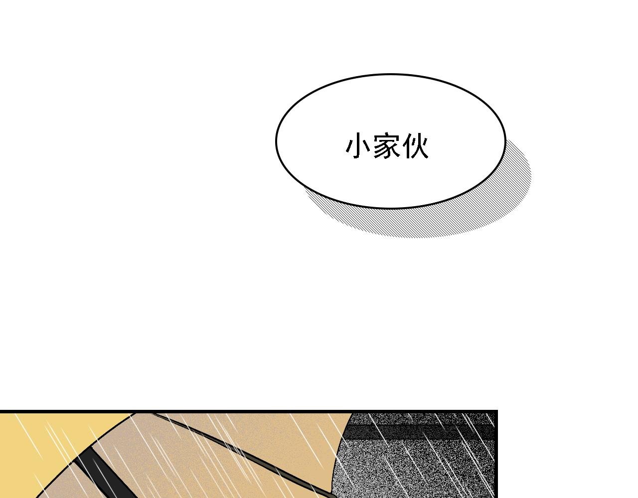 宠爱