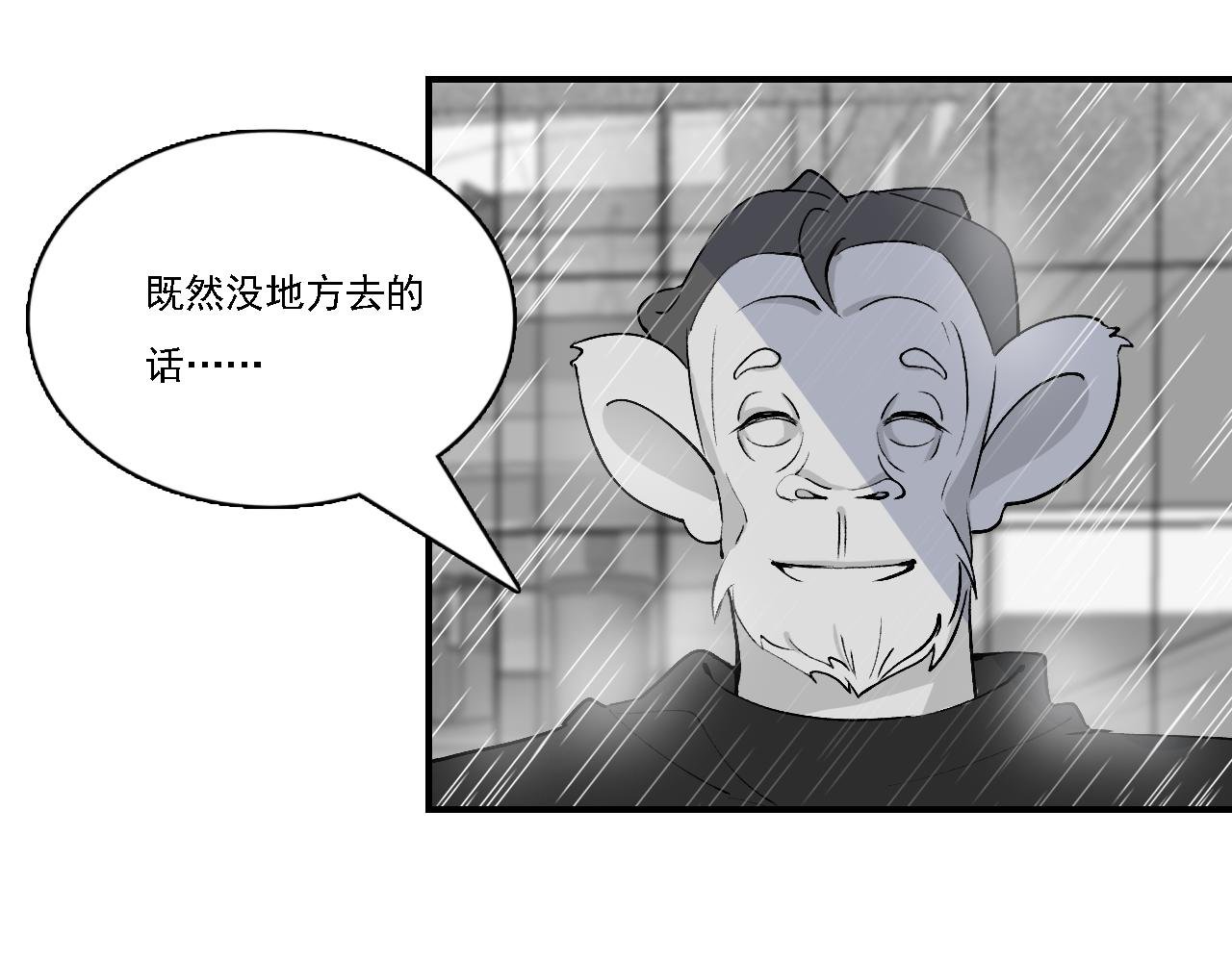 宠爱