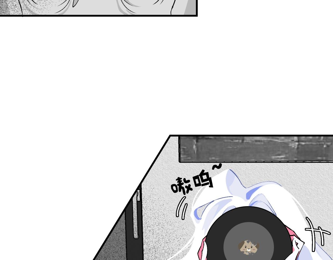 宠爱