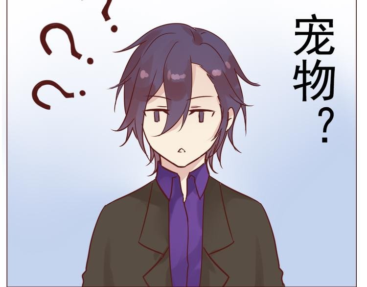 第12话 这家伙是我的宠物