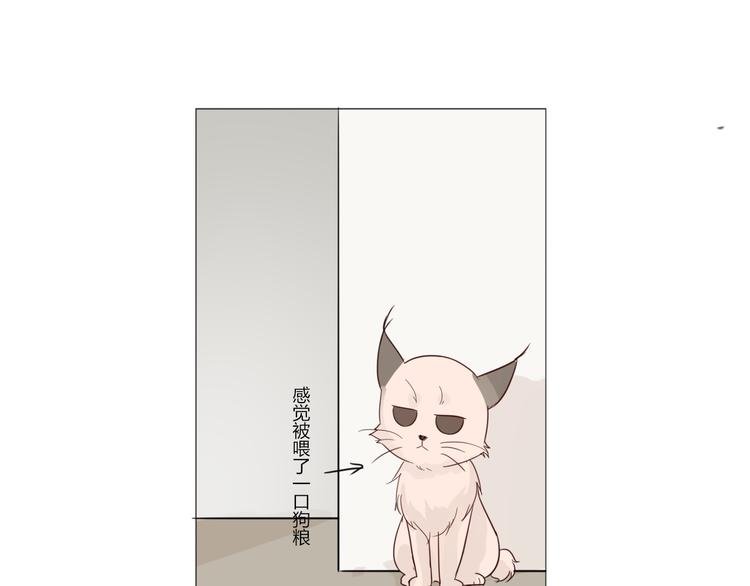 第27话 男朋友