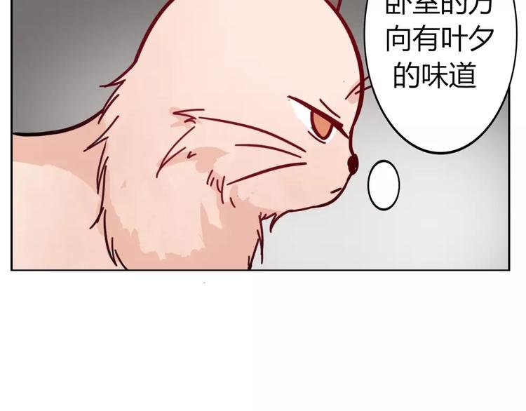 第36话 我不会丢下你