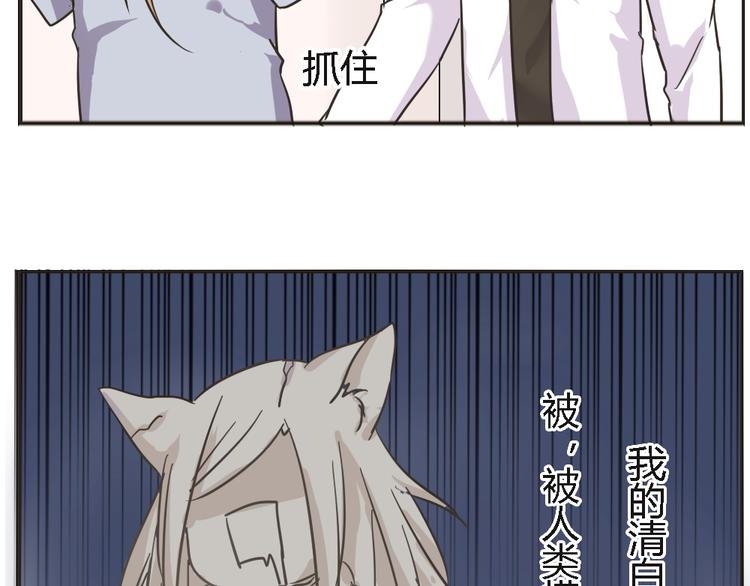 第4话 狐仙的命根子不能乱摸