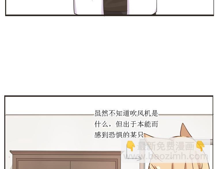第4话 狐仙的命根子不能乱摸