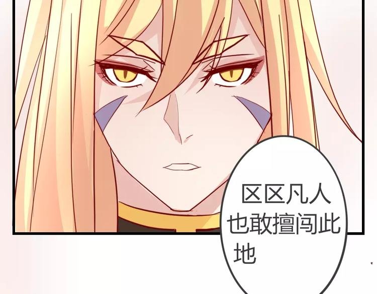 第48话 尝试