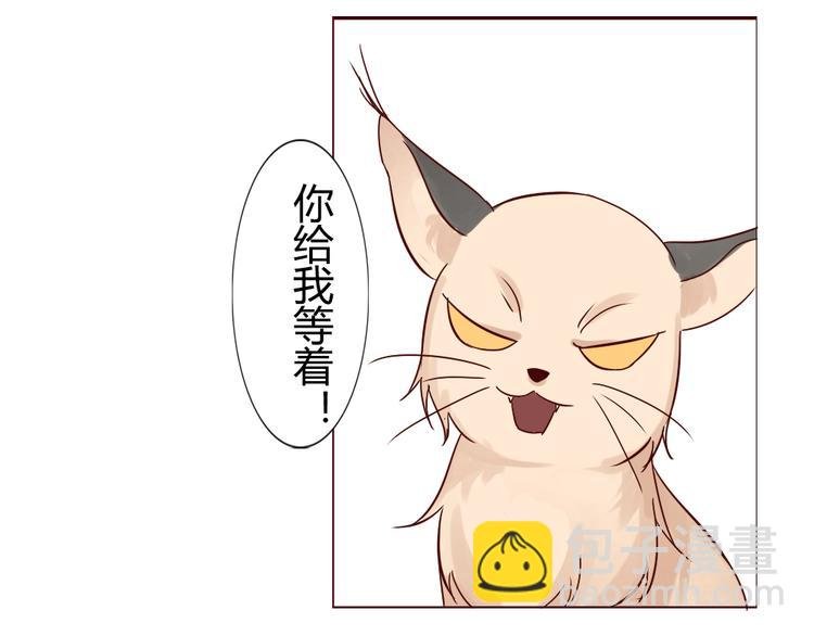 第8话 狐仙大人久违啦（已二次更新）